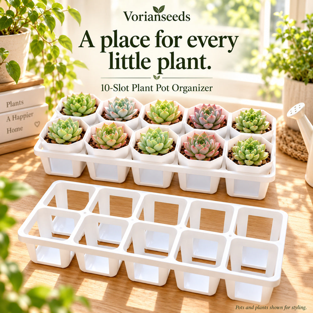 10-Slot Plant Pot Organizer – Tray for Small Pots & Succulents