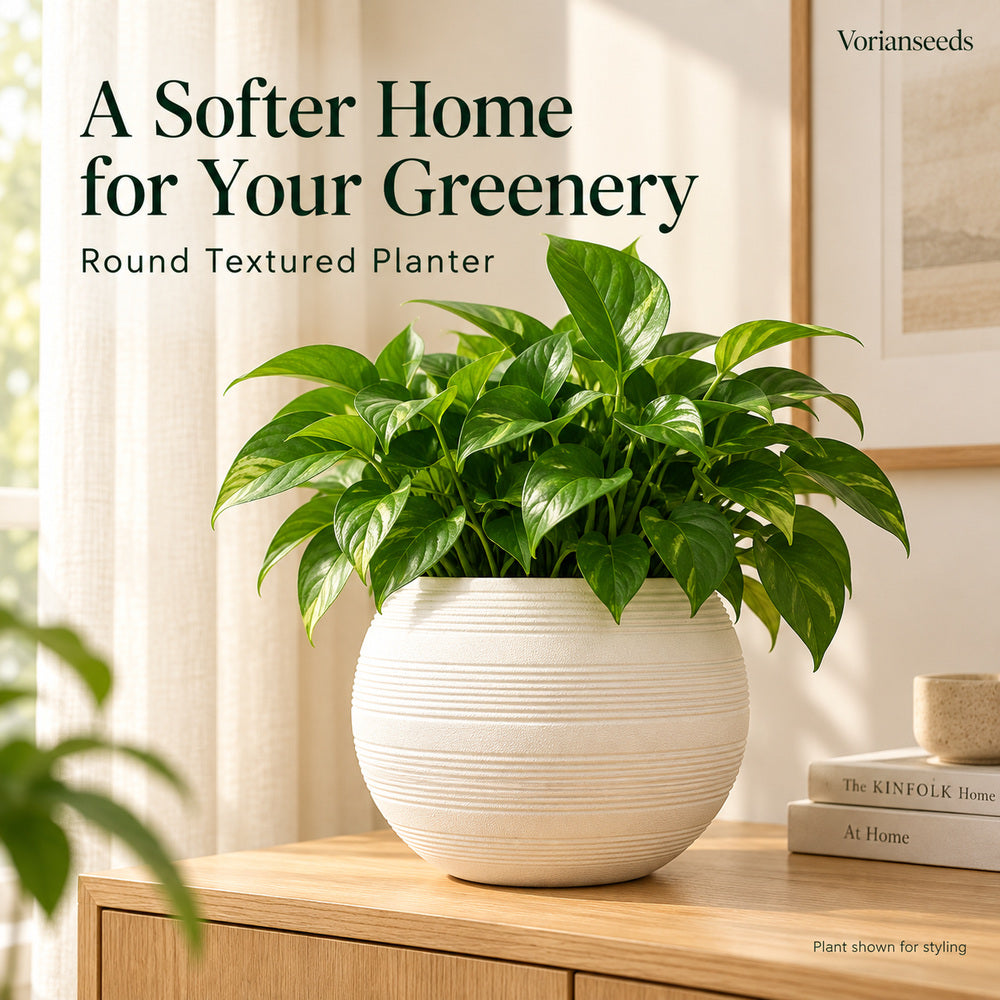 Ivory Textured Indoor Planter with Removable Inner Pot