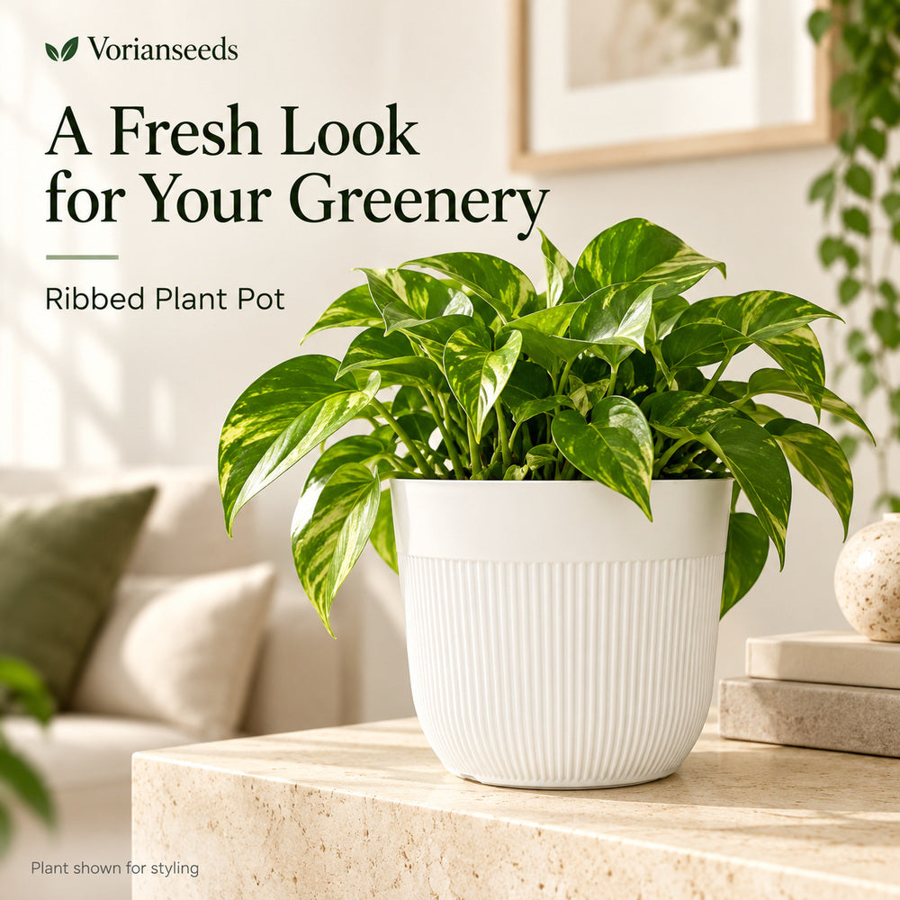 Ribbed Plant Pot – White Indoor Planter with Drainage Holes