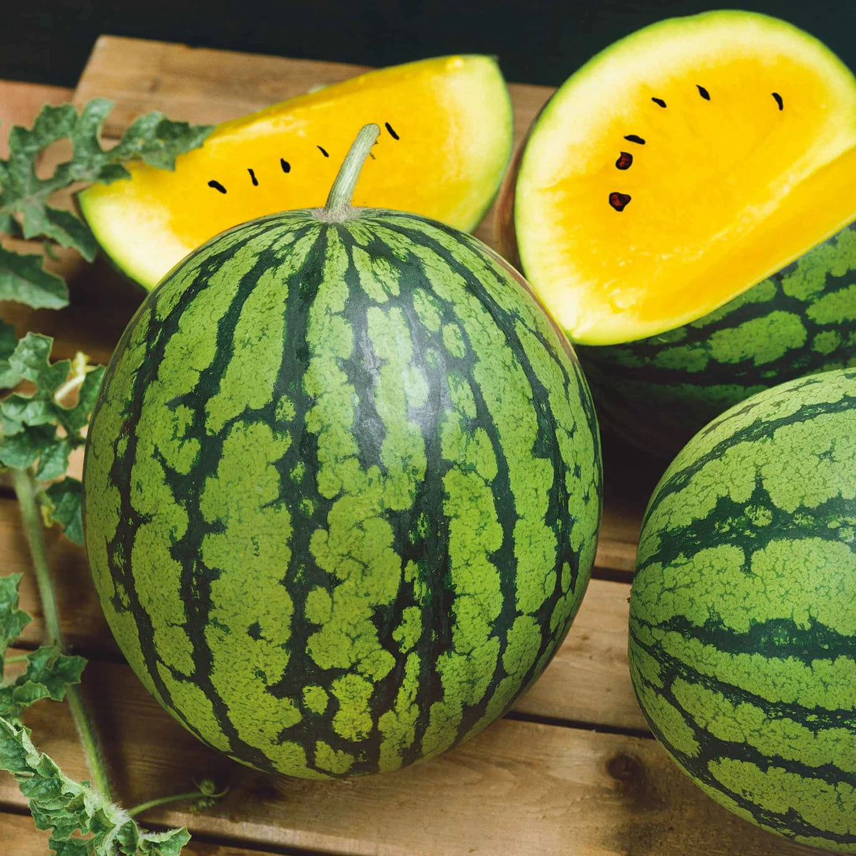 Yellow Watermelon Seeds – Golden Flesh & Green Striped Rind