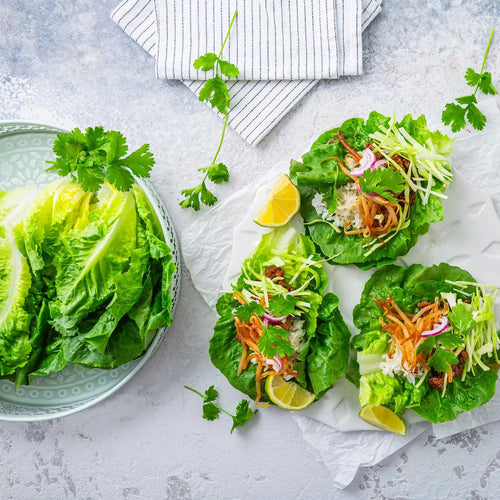 Little Gem Lettuce Seeds – Crisp, Tender Heads for Small Gardens
