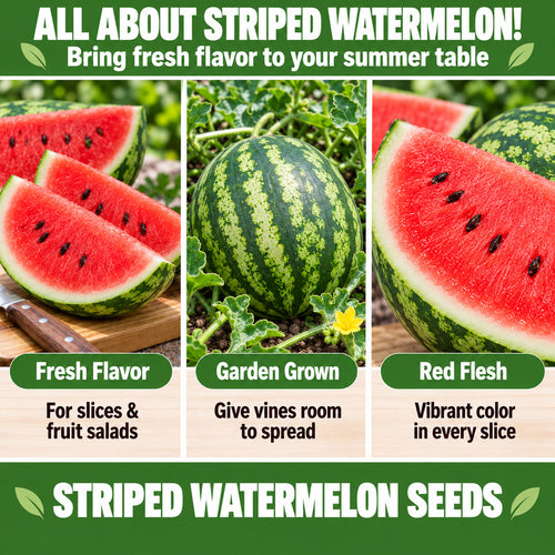 Striped Watermelon Seeds – Red Flesh for Your Summer Garden