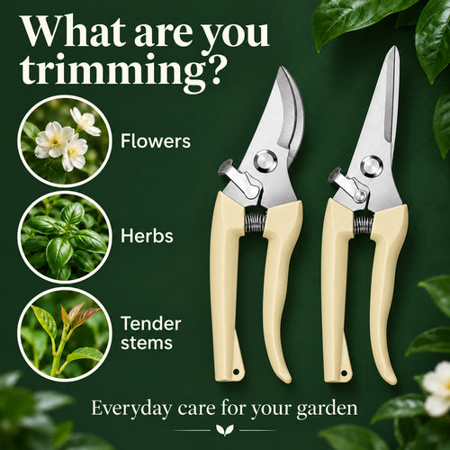 Cream Garden Shears for Flowers & Herbs – Curved or Straight Blade
